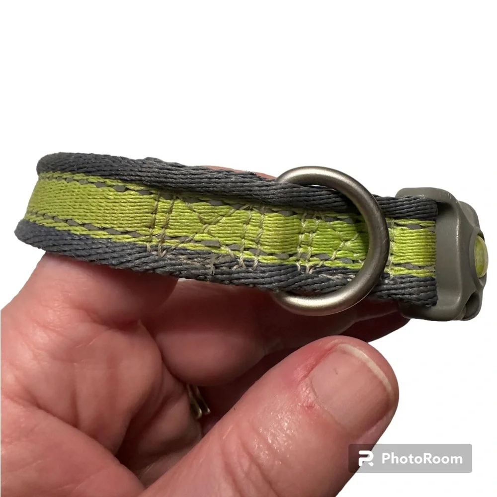 Coastal Dog Collar Small Bright Yellow Green